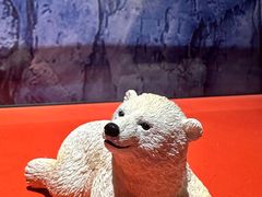 -海合安武汉极地海洋公园