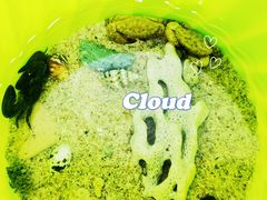 -三亚西岛海洋文化旅游区