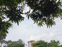 -侯臣咖啡文化村