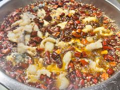 麻辣水煮鱼-文记沸腾鱼(永安路总店)
