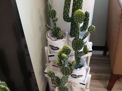 -春风·有糖(崇宁路店)