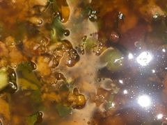 -海底捞火锅(龙湾万达广场店)