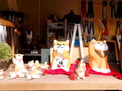 -柴犬高等学院·狗咖·柴犬售卖·宠物训练