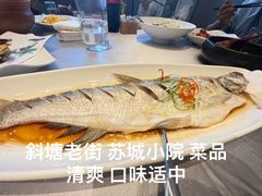 -苏城小院·园林精致苏州菜(斜塘老街店)