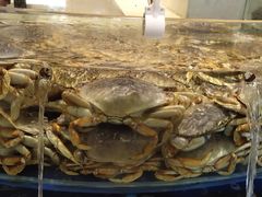 -海景壹号大酒店(滨湖店)