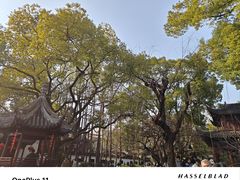-豫园