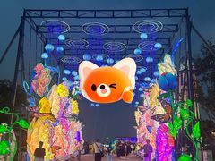 -第35届青岛国际啤酒节