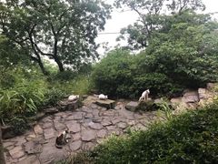 -鼋头渚风景区-王昆仑故居