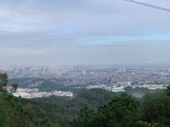 -滴水岩森林公园