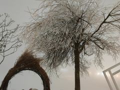 -中铁花水湾温泉酒店(大邑店)