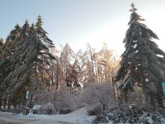 -长春市南湖公园