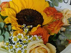 -鼓楼社区体育中心游泳馆