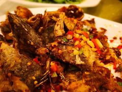 -权记避风塘(鸿记店)