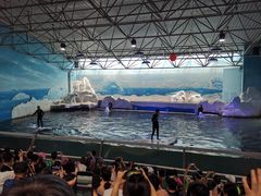 -秦皇岛乐岛海洋王国