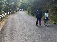 -东天目山风景区