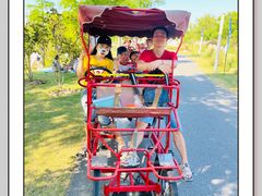 -上海长兴岛郊野公园