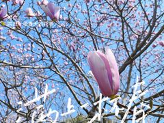 -扬州瘦西湖汇金酒店