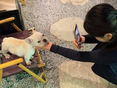 -J Create城市露营咖啡·简餐·宠物(上海动物园店)