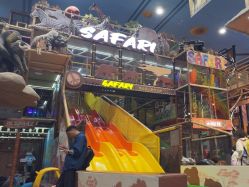 -卡通尼·Safari非洲探索乐园·生日会(金桥国际商业广场店)