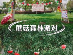 -大蜀山国家森林公园