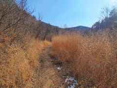 -蟠龙山长城景区
