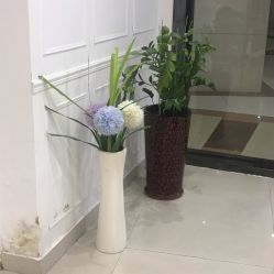 -瑞尼丝国际专业脱毛连锁