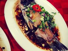 -先鲜鲫鱼粥
