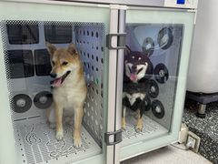 -FAELING PETS美天灵宠物(富力广场店)