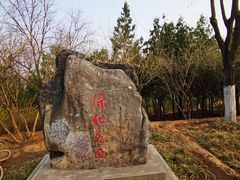 -滨河世纪广场公园