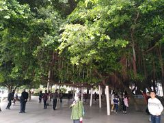 -北部湾广场