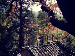 -塔川景区