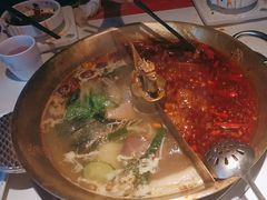-小龙翻大江文化火锅(宽窄店)