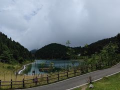 -武陵山森林公园