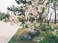 -渼陂湖
