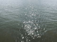 -长洲岛