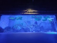 -波塞冬海底世界