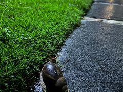 -惠州金海湾嘉华度假酒店