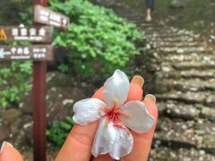 -雁荡山三折瀑景区