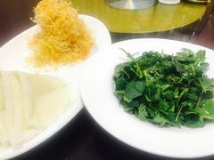 -丁老爷子苏香圆