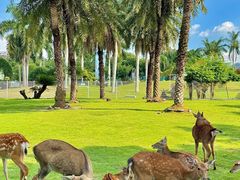 -东南花都花博园