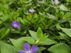 -苏州河梦清园环保主题公园