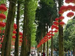 -井冈山风景名胜区