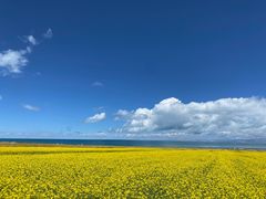 -青海湖国家重点风景名胜区