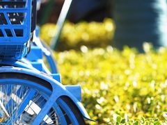 -浙江大学(紫金港校区)