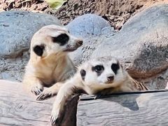 -北京野生动物园