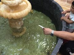 -和乐喜点(宝岗大道店)