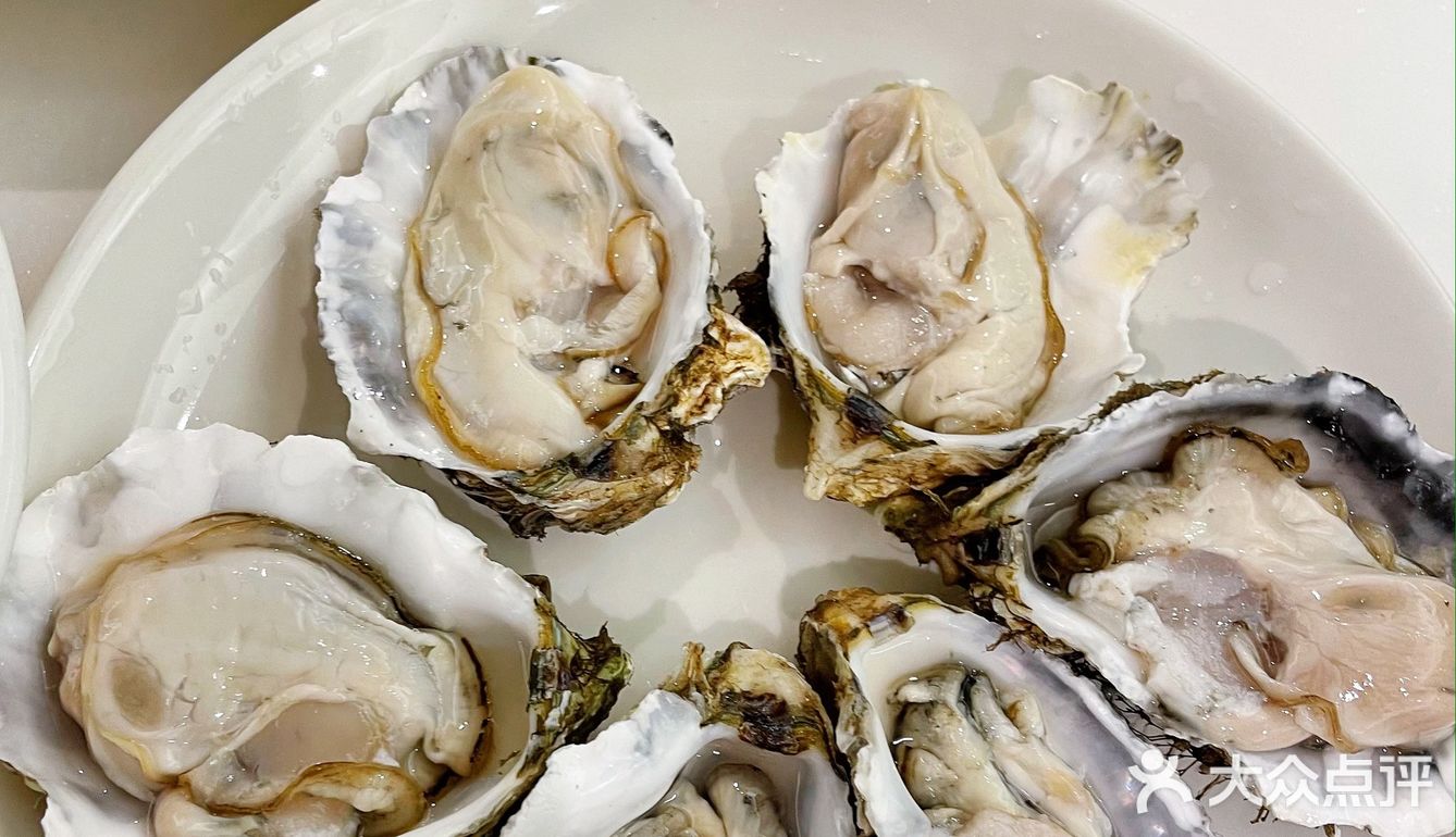 这家生蚝鸡煲值得N刷 