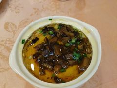 蕈油蒸蛋-大方圆酒楼(西门大街店)