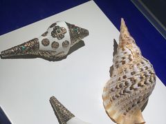-贝壳王国博物馆
