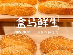 -盒马鲜生(双清路店)